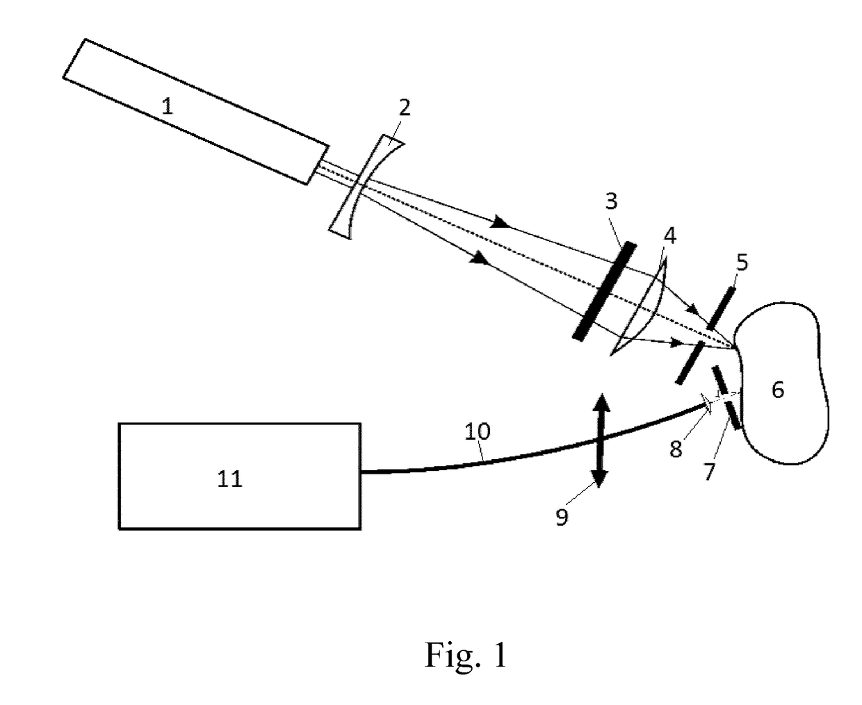 System and method for the detection of acrylamide precursors in raw potatoes and potato-based food products