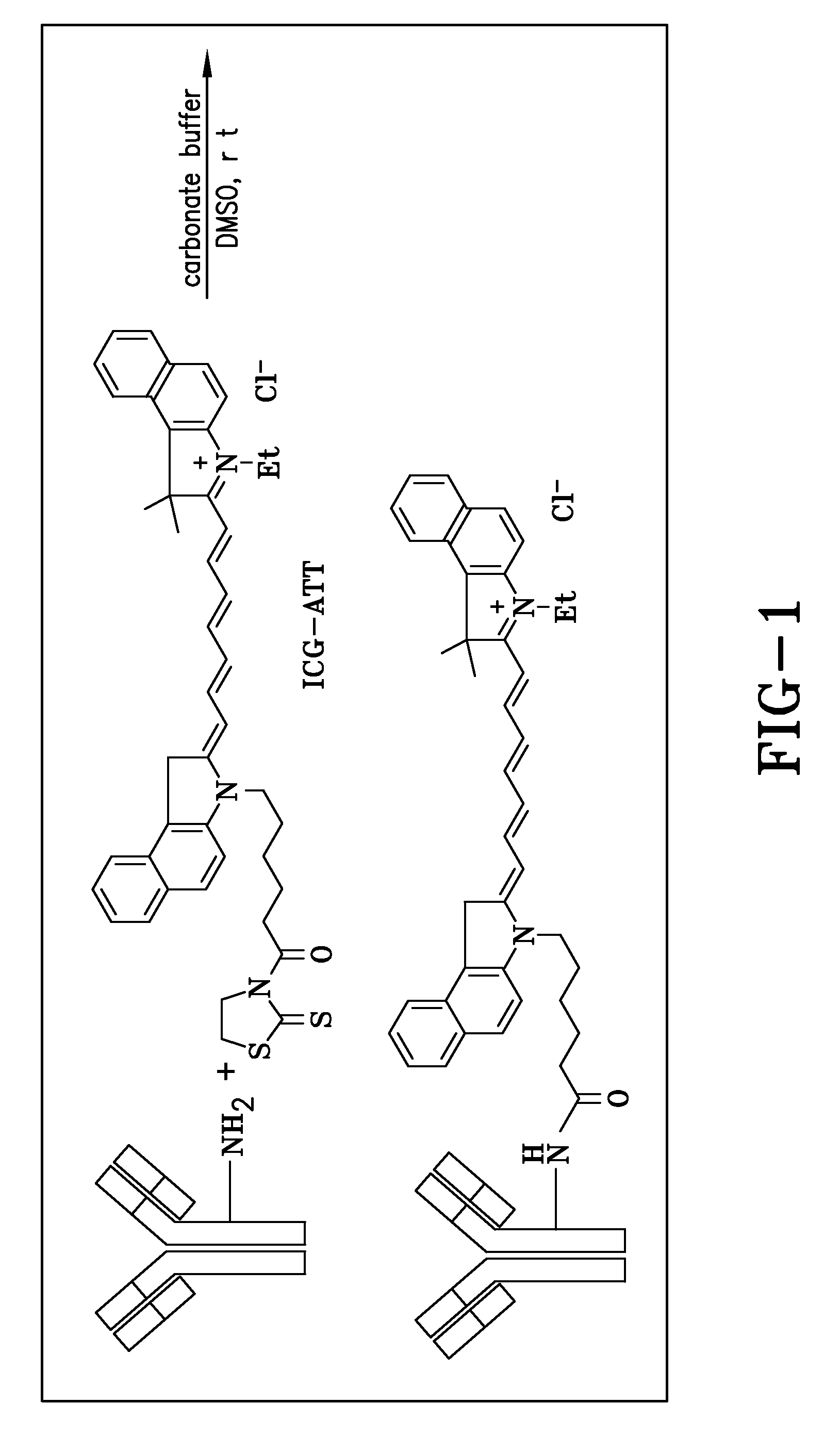 Fluorescence detection system