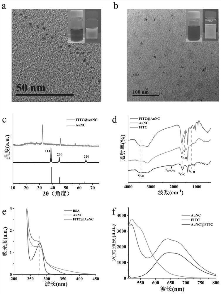 Ratio fluorescence biosensor based on gold nanoclusters, preparation method of ratio fluorescence biosensor and application of ratio fluorescence biosensor in detection of aspergillus mould