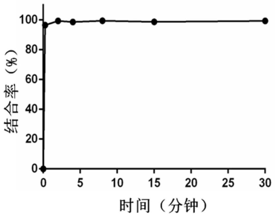 Albumin binding type camptothecin derivative prodrug as well as preparation method and application thereof