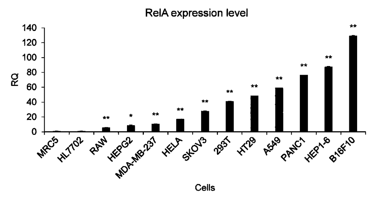 Gene expression based on intracellular NF-kappa B activity activation effect gene in NF-kappa B overactivated cells and application