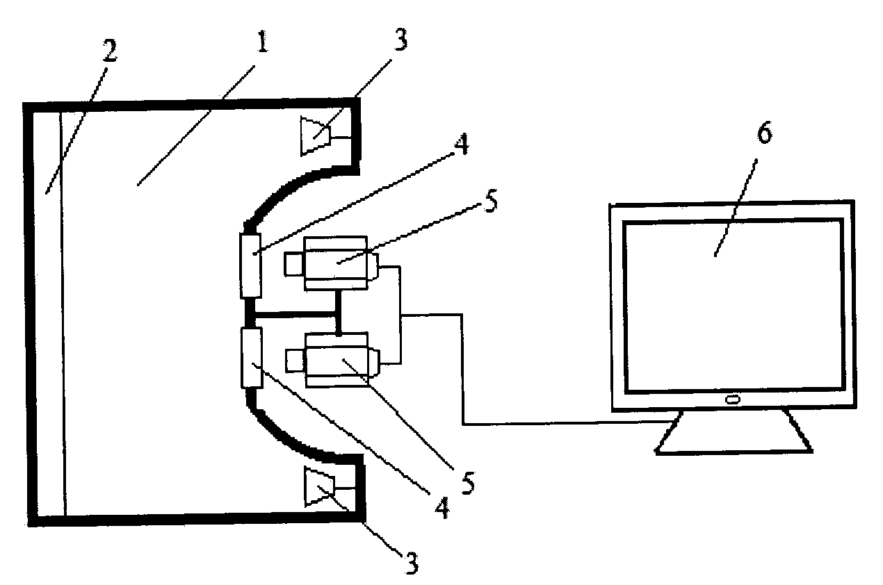 Device and method for simultaneously detecting potassium bromate and benzoyl peroxide in wheat meal