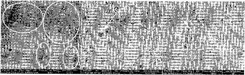 Composite coating used for surface of glass die and electroplating method thereof