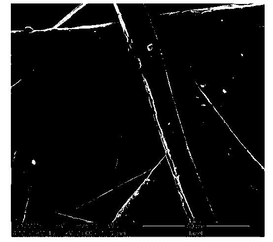 Preparation method of immobilized catalytic particle metal felt for producing biodiesel