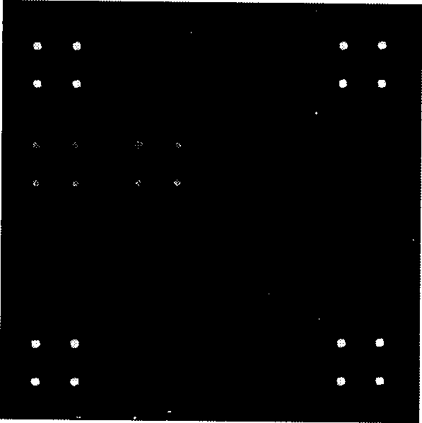 Glass gene chip for simultaneous detection of Group A, B and C human rotaviruses and the prepn and application