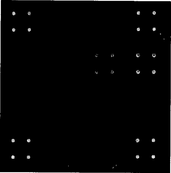 Glass gene chip for simultaneous detection of Group A, B and C human rotaviruses and the prepn and application