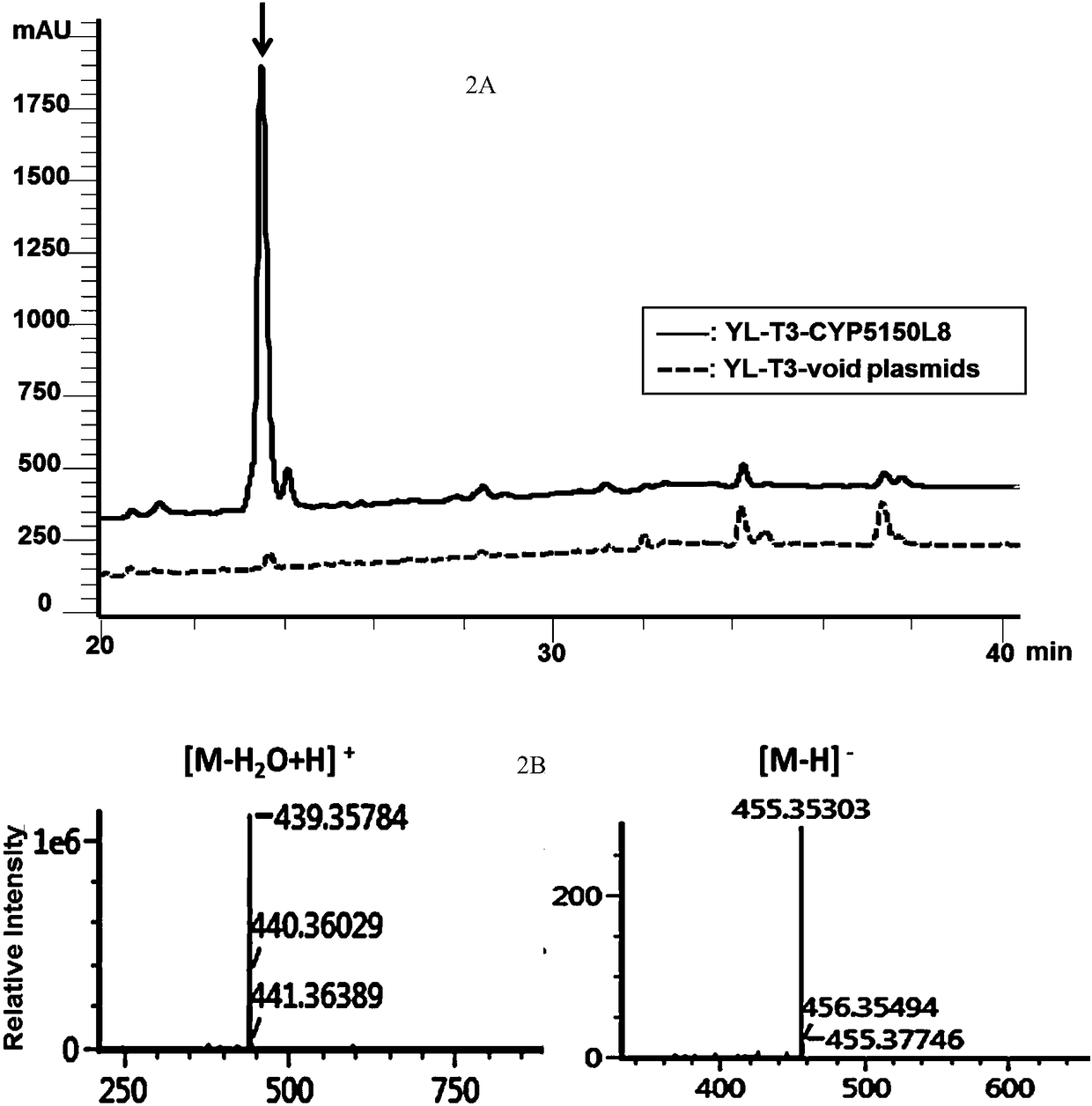 Method for heterologous biosynthesis of ganoderic acid through synthetic biological means