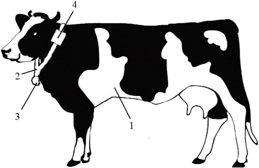 Ruminant monitoring system