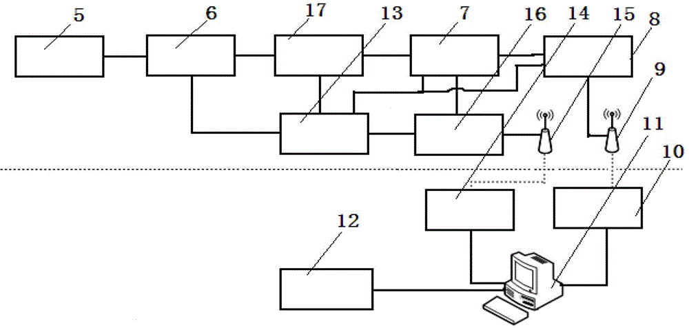 Ruminant monitoring system