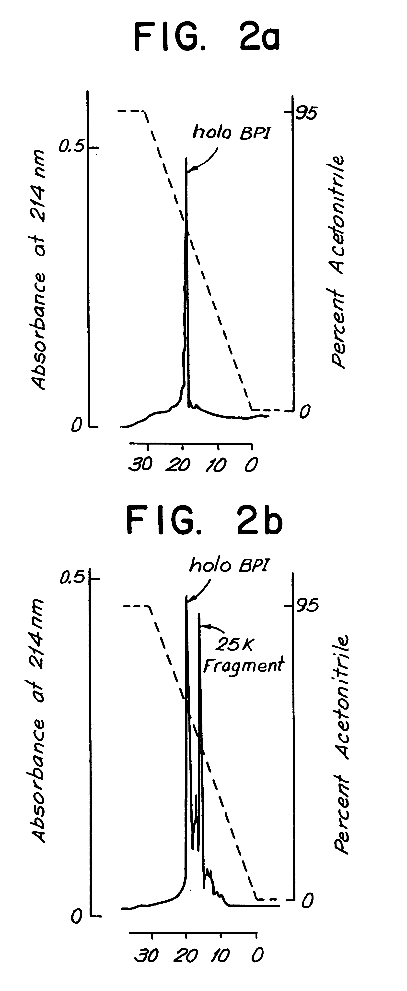 Biologically active bactericidal/permeability-increasing protein fragments