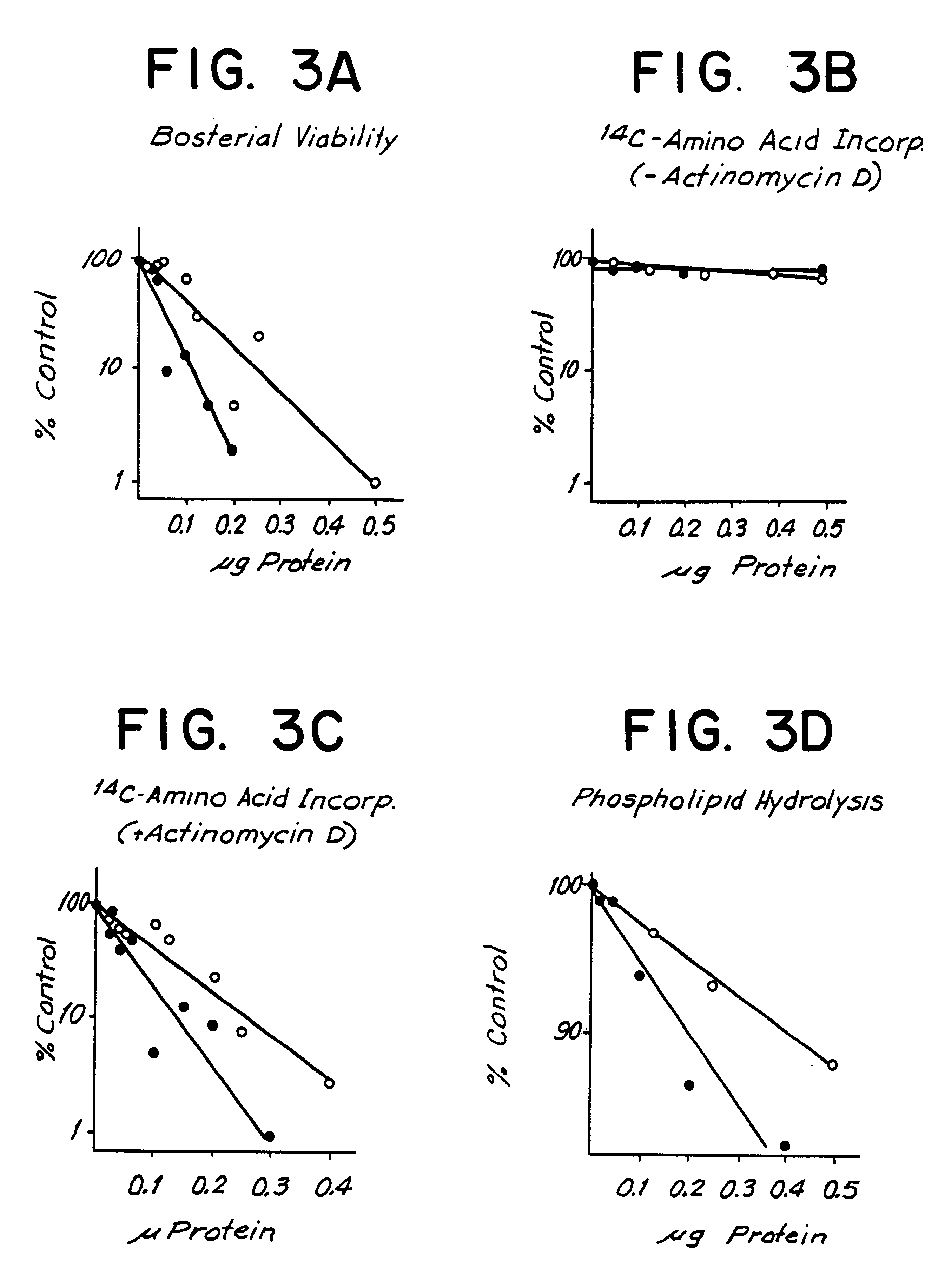 Biologically active bactericidal/permeability-increasing protein fragments