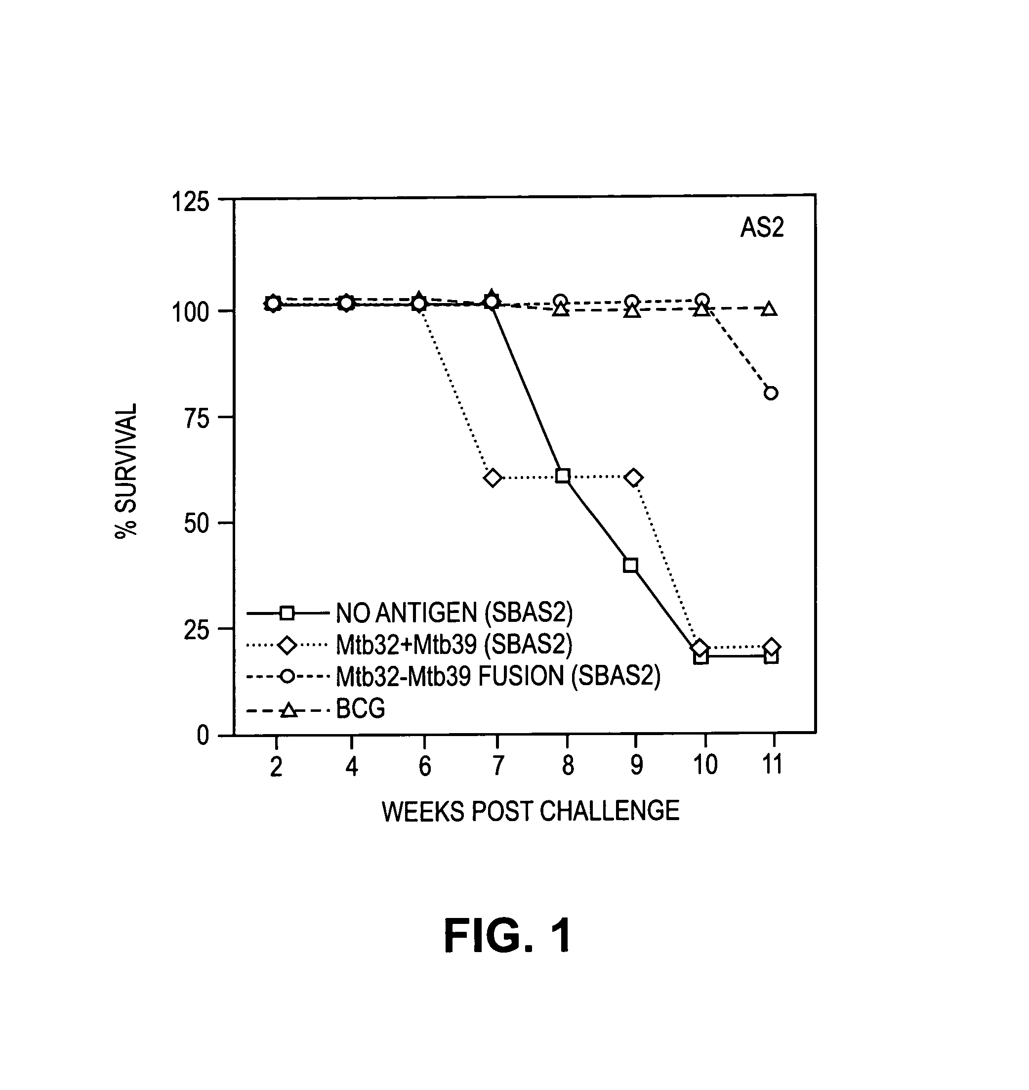 Fusion proteins of <i>Mycobacterium tuberculosis </i>