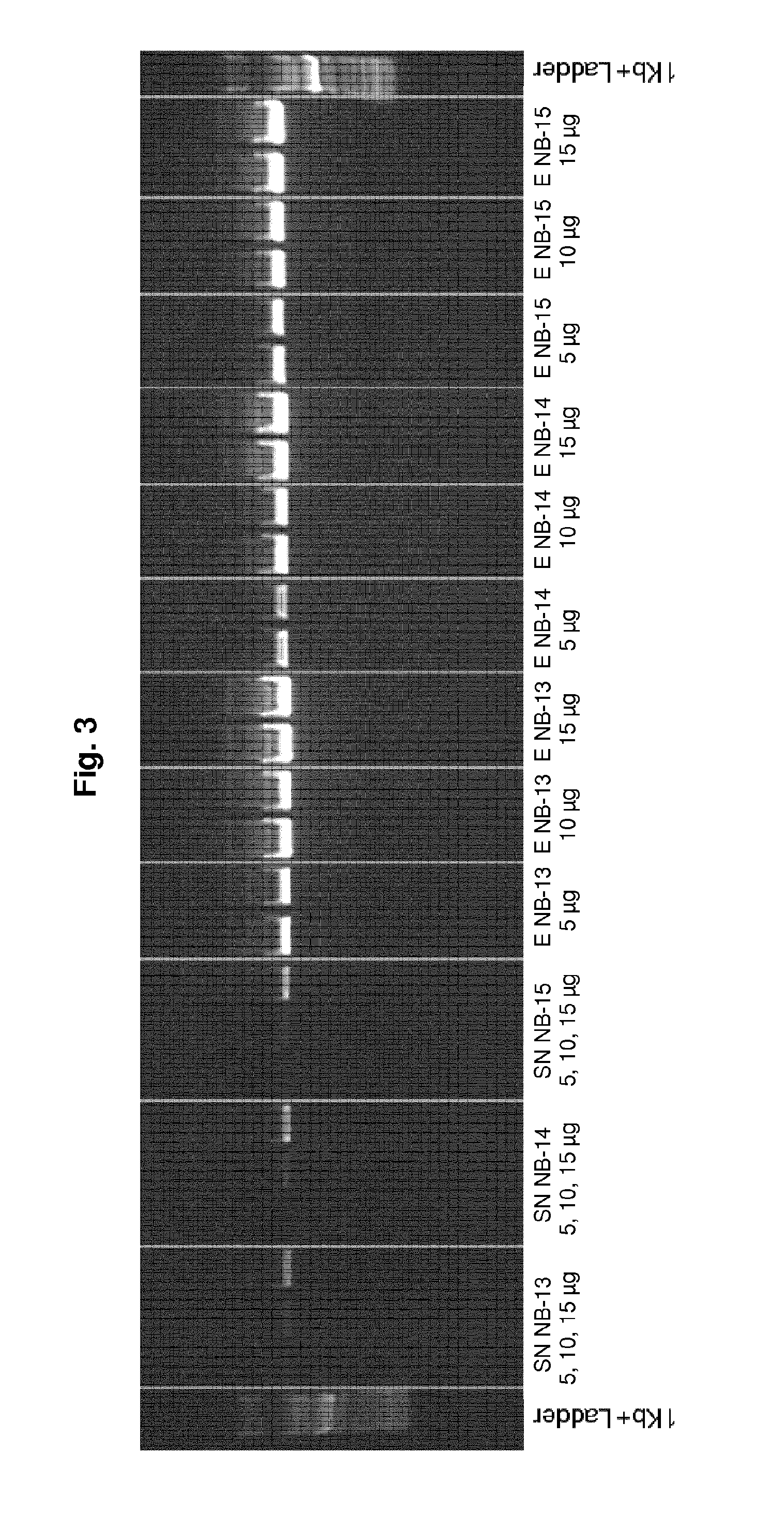 Preparation of silica particles