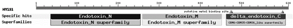 Anti-Nilaparvata-lugens pesticidal protein, and coding gene and application thereof