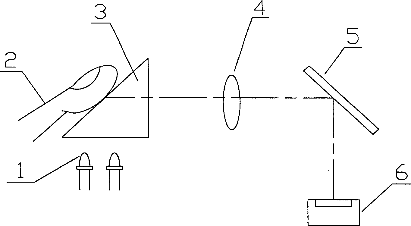 Fingerprint image display and collecting device