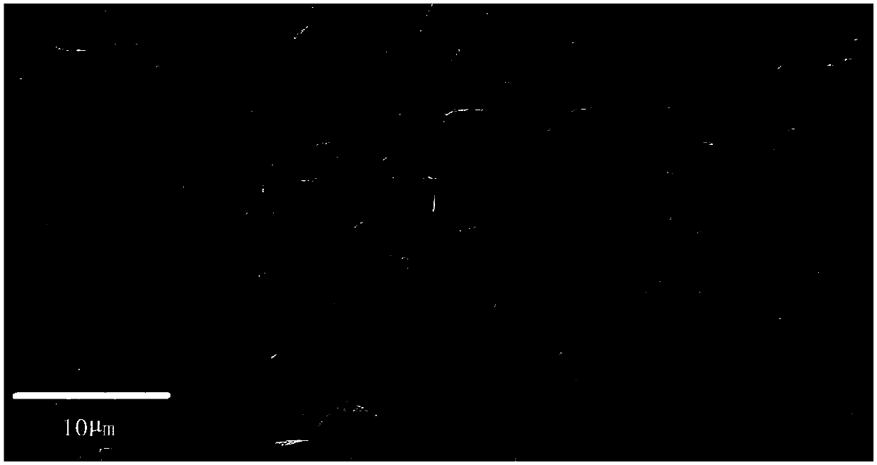 Silica-graphene composite negative electrode material and preparation method thereof