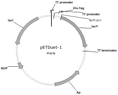 Constructed recombinant escherichia coli and method for biosynthesis of 3'-sialyllactose