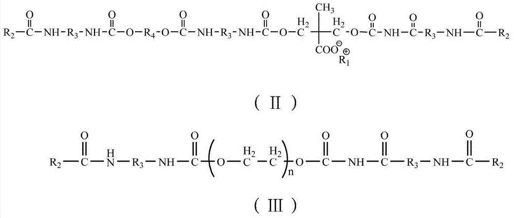 Finish paint composite and preparation method and use method thereof