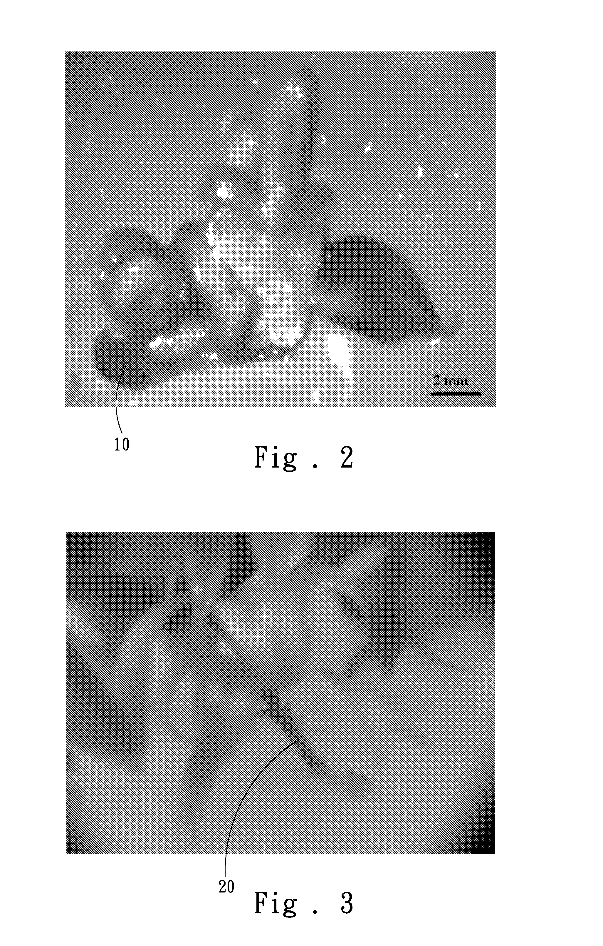 Tissue culture method for producing agarwood