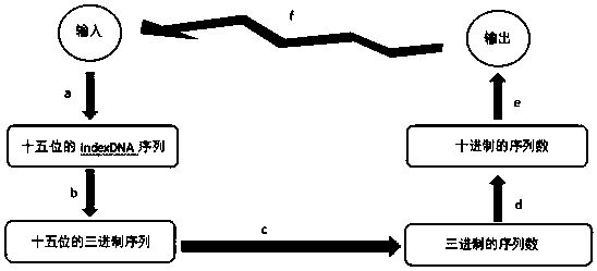 Data biological storage and restoration method