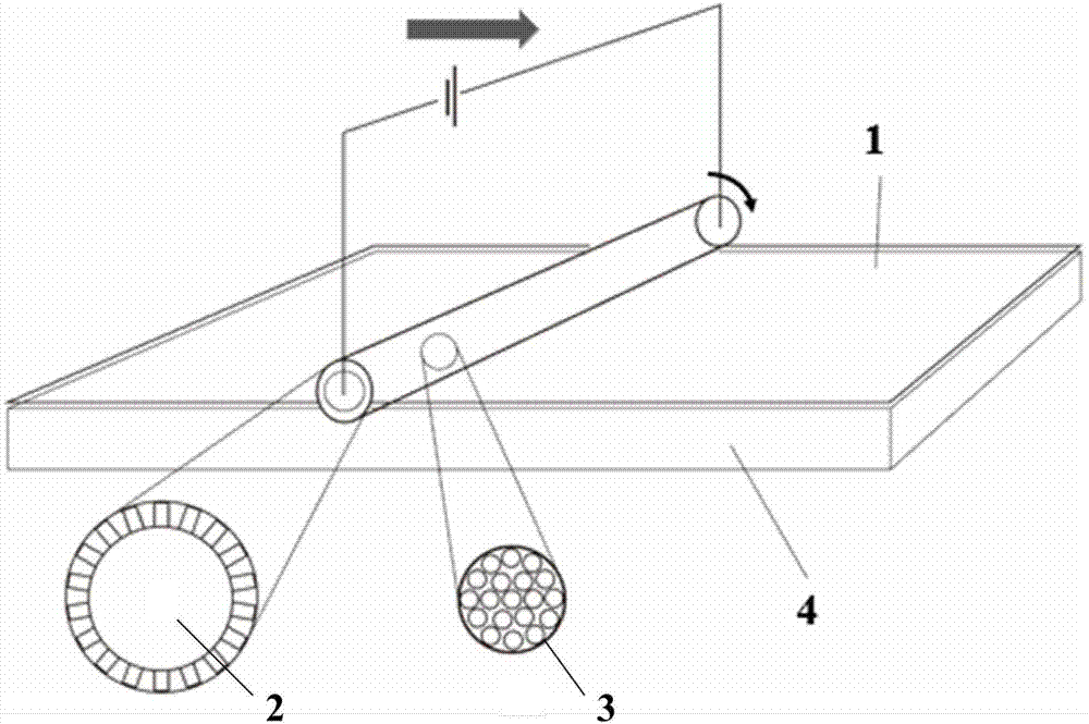 Composite coating with cilium structure and preparation method and application thereof