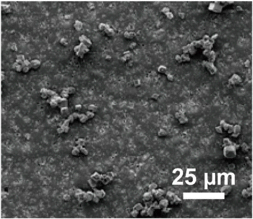 Composite coating with cilium structure and preparation method and application thereof