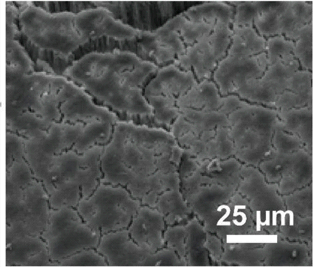 Composite coating with cilium structure and preparation method and application thereof