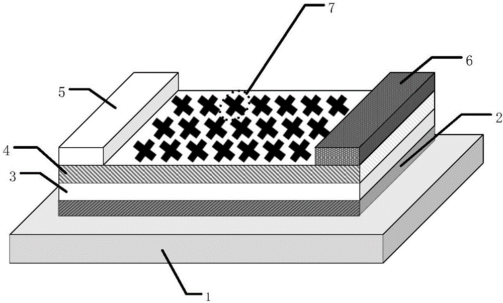 Polarization sensitive photoelectric detector