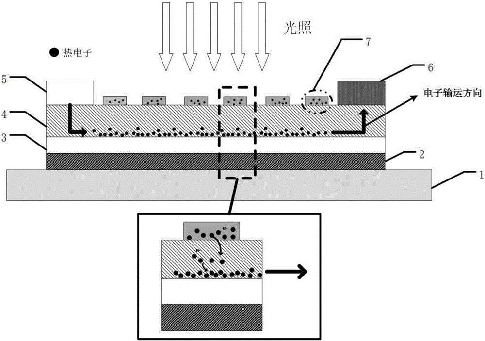 Polarization sensitive photoelectric detector