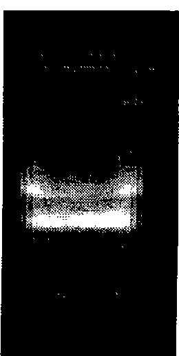 Neutralizing monoclonal antibodies against B type botulinum neurotoxin, preparation method and use thereof