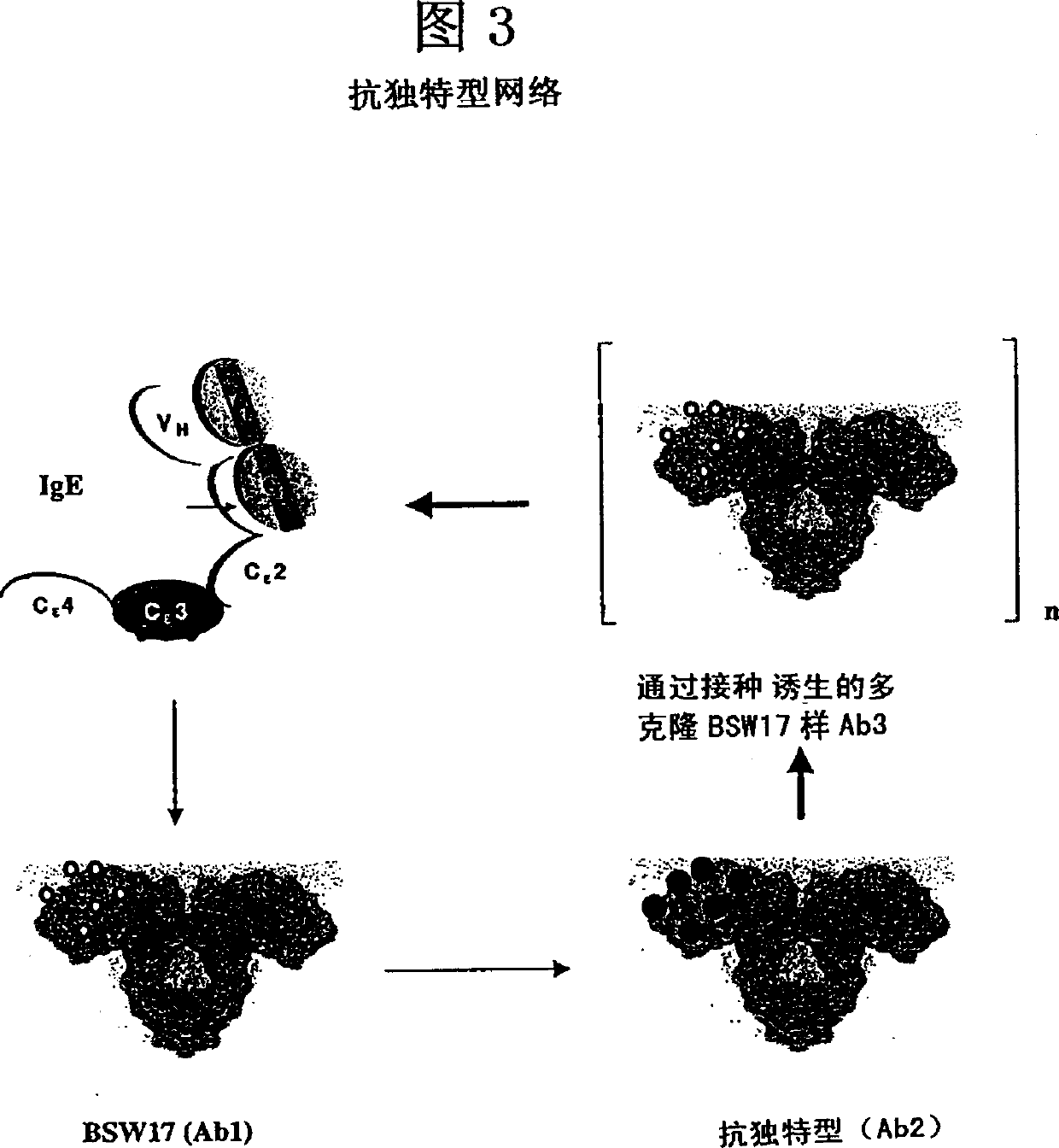 Anti-idiotypic antibodies against antibodies which inhibit the binding of immunoglobuline to its high affinity receptor