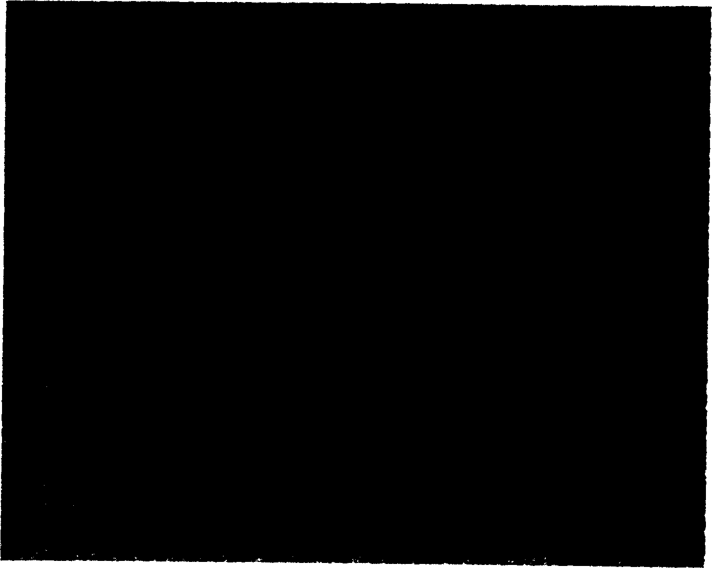 Luminous microsphere and its production method and water dispersion system