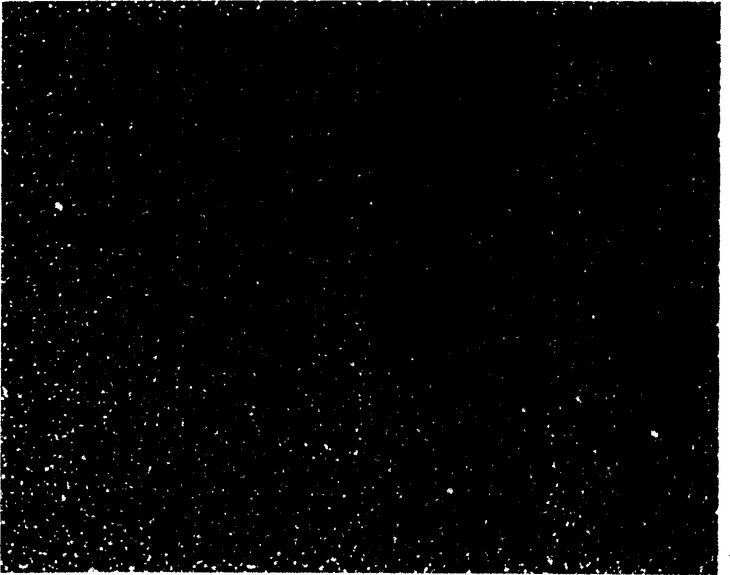 Luminous microsphere and its production method and water dispersion system