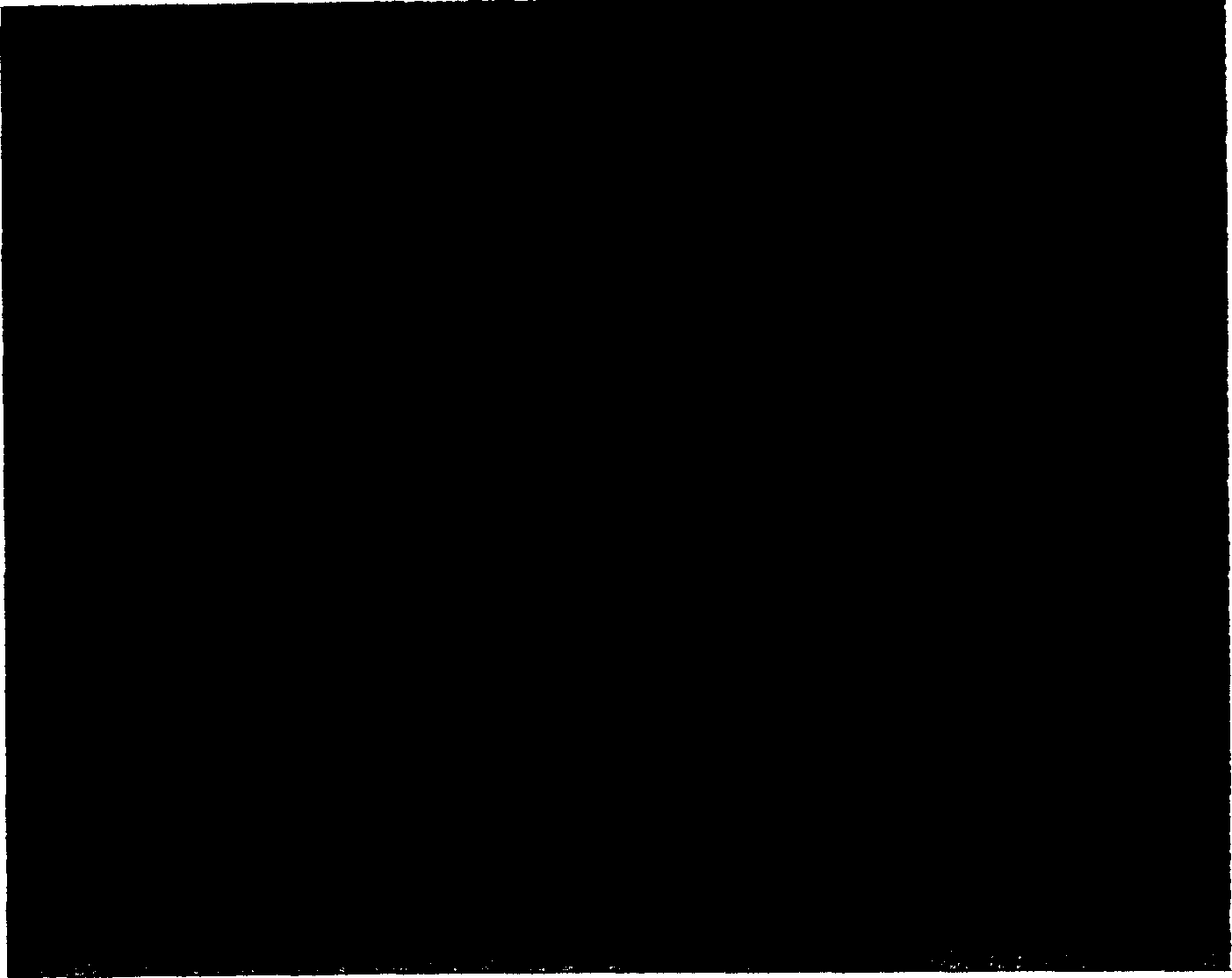 Luminous microsphere and its production method and water dispersion system