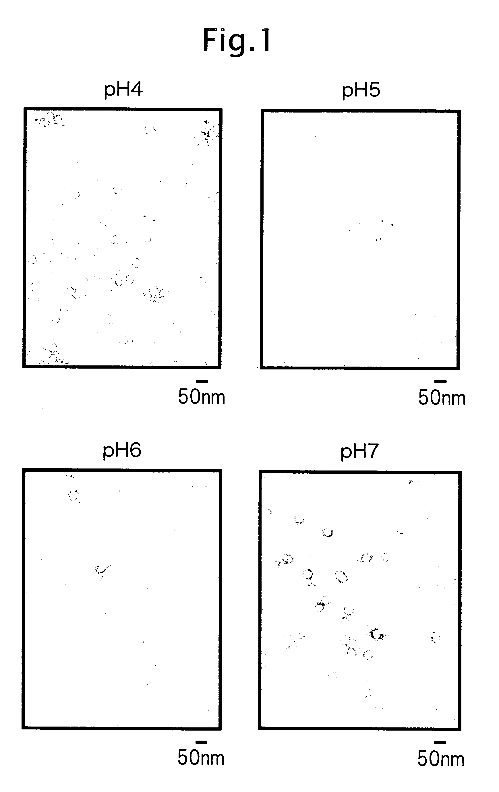 Viral Particle-Like Construct and Method of Forming the Same Under Physiological Conditions