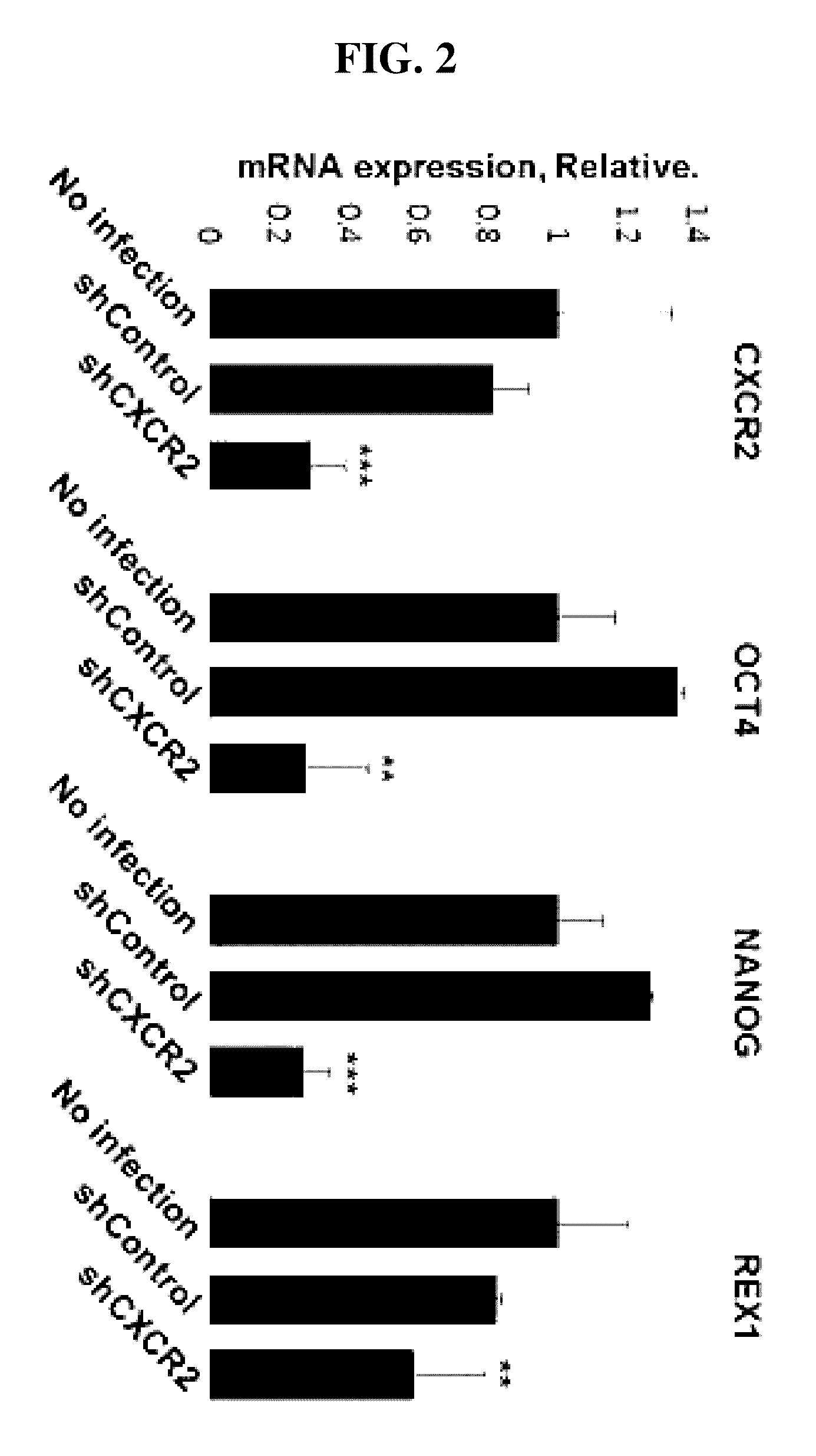 Method for inducing endodermal and mesodermal differentiation from human pluripotent stem cells by CXCR2 suppression