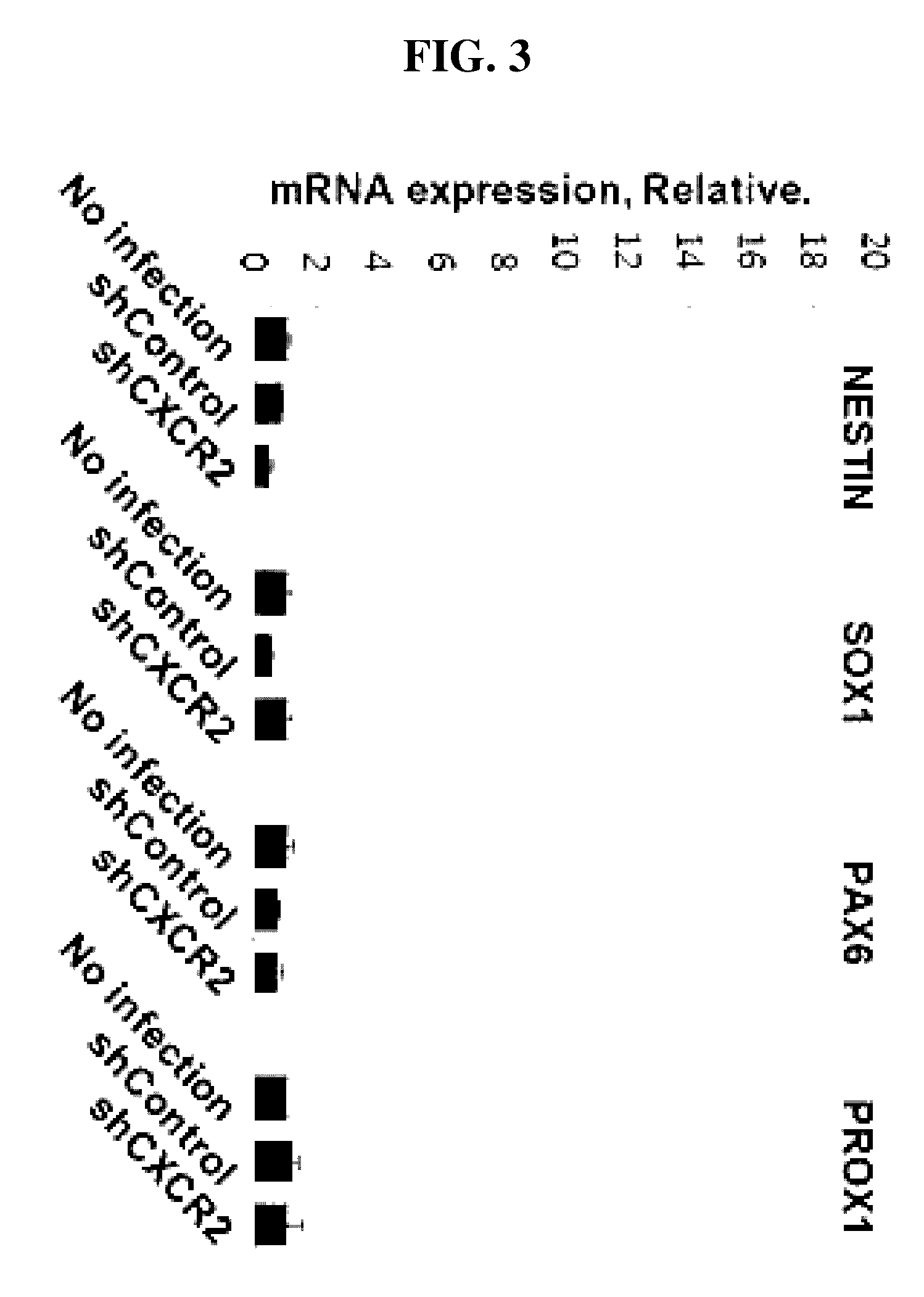 Method for inducing endodermal and mesodermal differentiation from human pluripotent stem cells by CXCR2 suppression