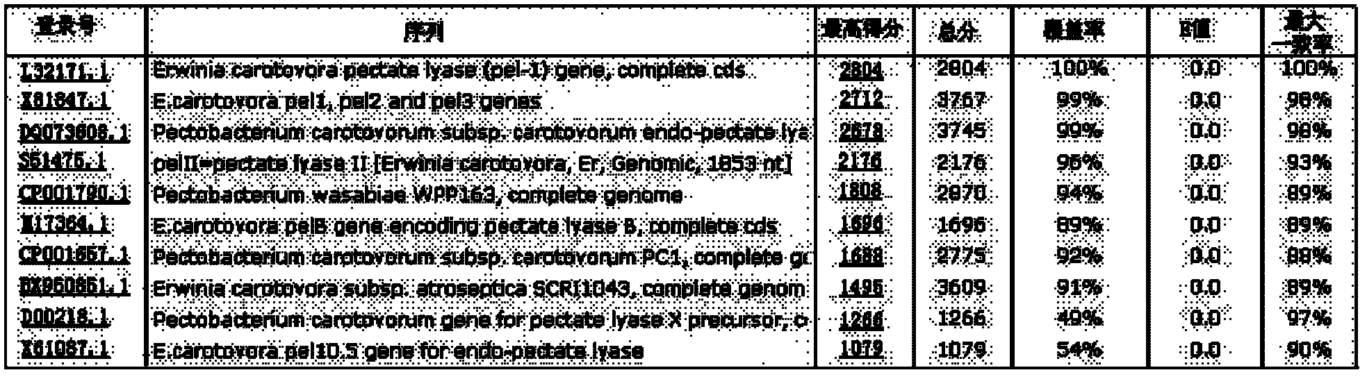 Polymerase chain reaction (PCR) method for specifically detecting pectobacterium carotovorum