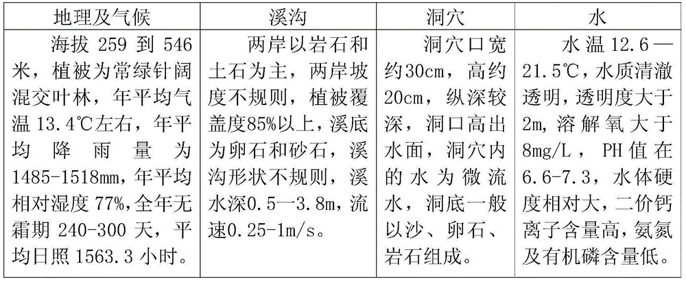 Imitation Ecological Breeding Method of Giant Salamander