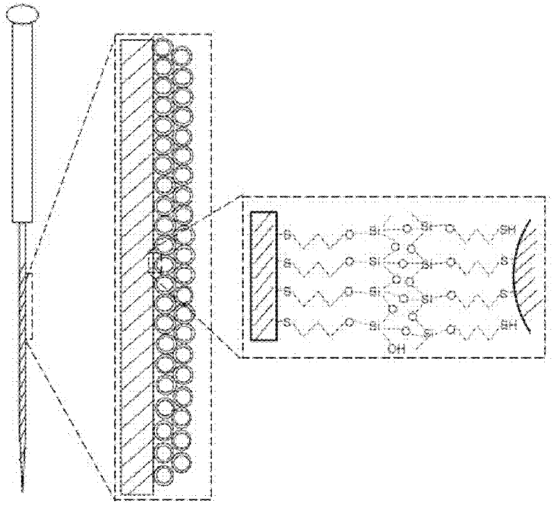 Minimally invasive blood glucose monitoring microneedle and preparation method thereof