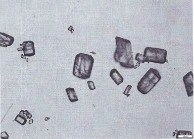 Nifedipine A crystal bulk crystal habit and controlled release tablet composition thereof