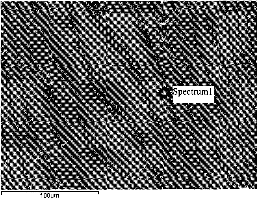 Method for removing scale on surface of titanium/titanium alloy strip