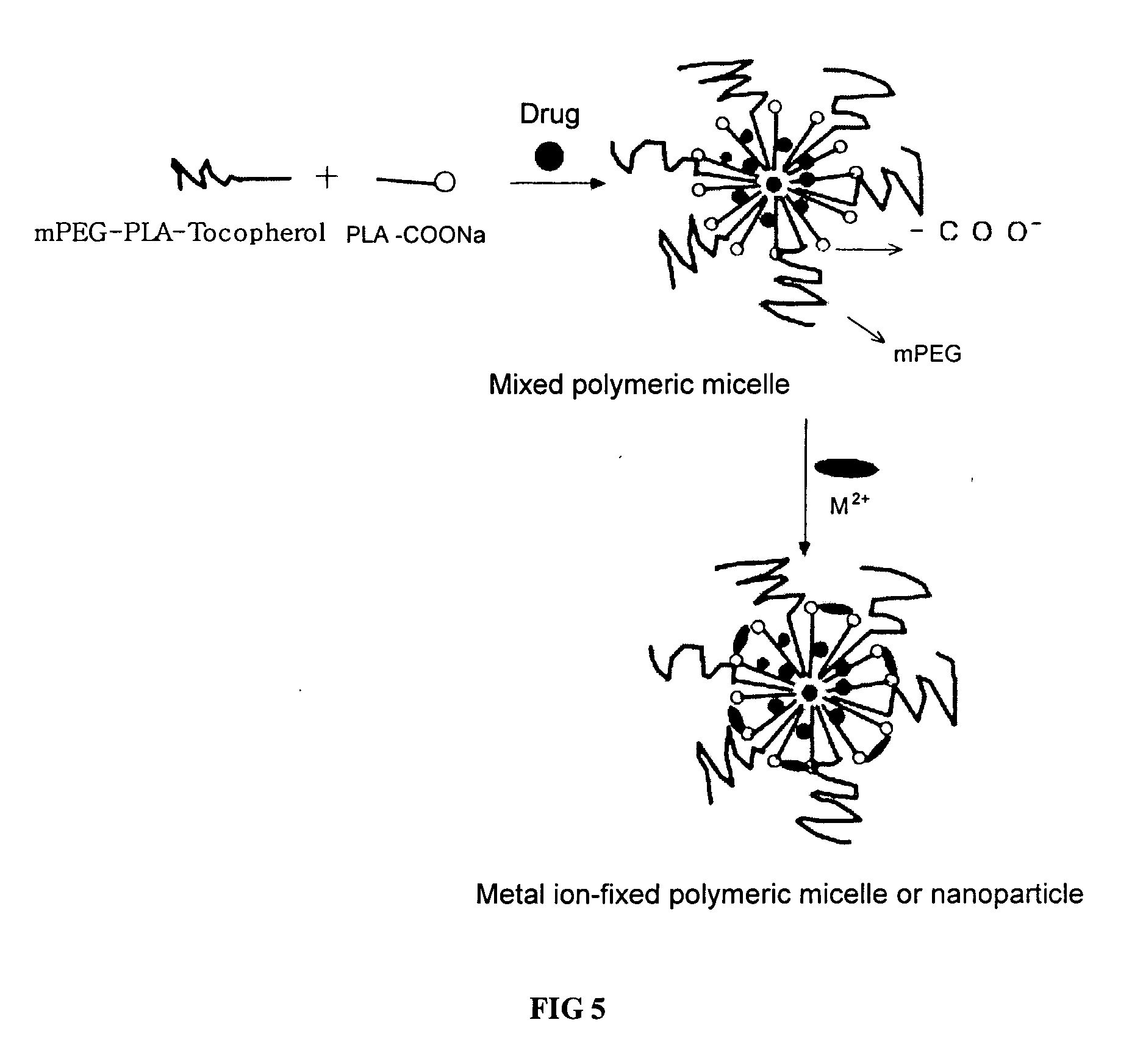 Amphiphilic block copolymer and polymeric composition comprising the same for drug delivery