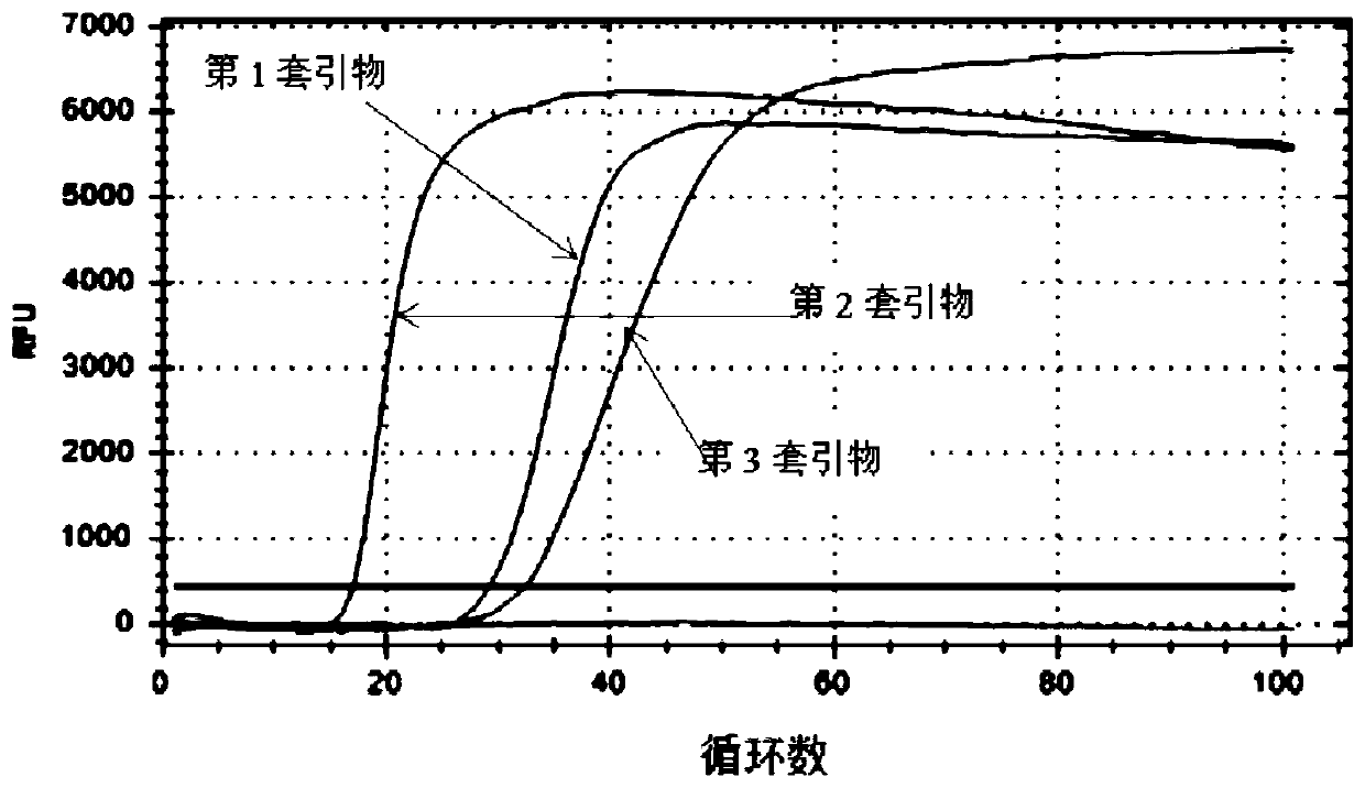 Primer composition, kit and method for detecting novel coronavirus