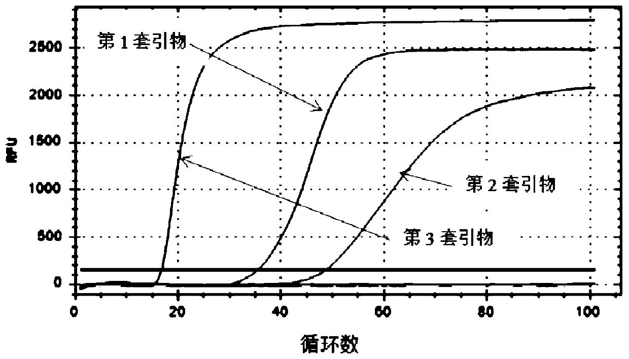 Primer composition, kit and method for detecting novel coronavirus