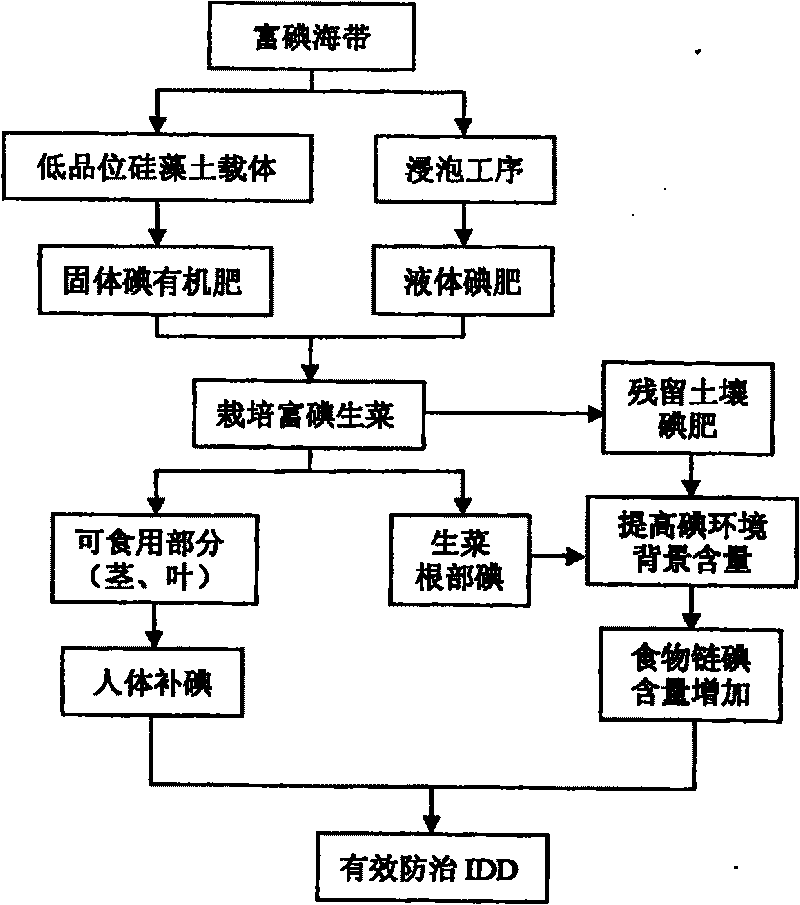 Iodine-rich lettuce cultivation method