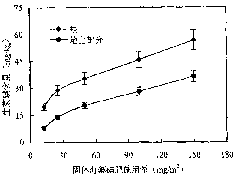 Iodine-rich lettuce cultivation method