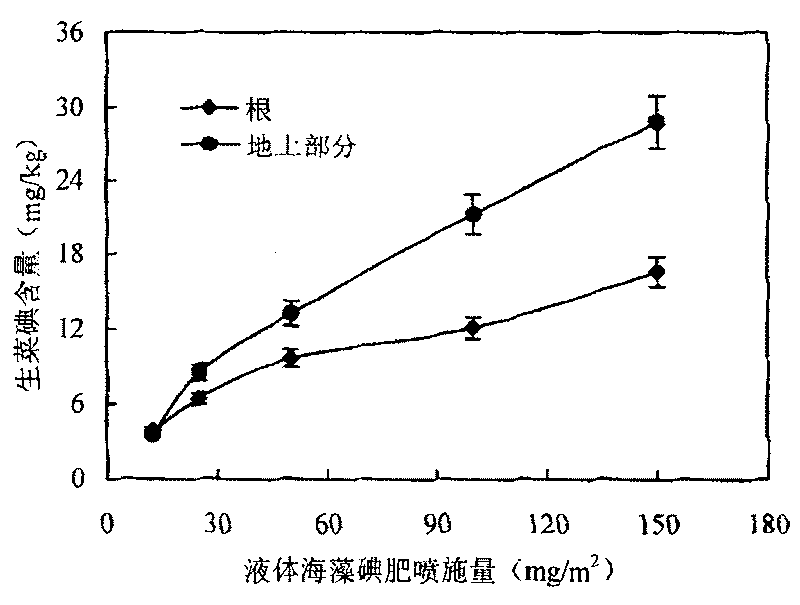 Iodine-rich lettuce cultivation method