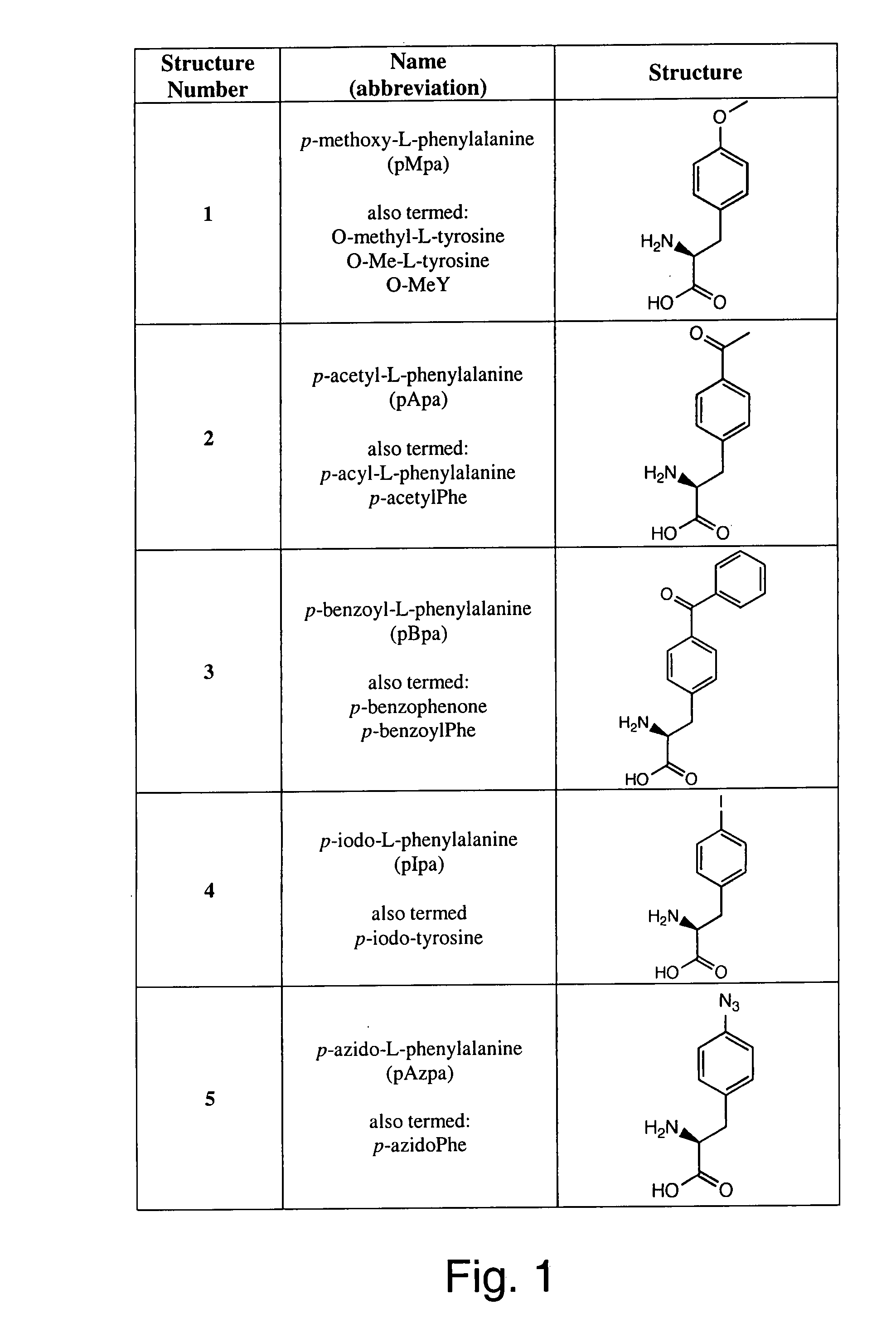 Genetic incorporation of unnatural amino acids into proteins in mammalian cells