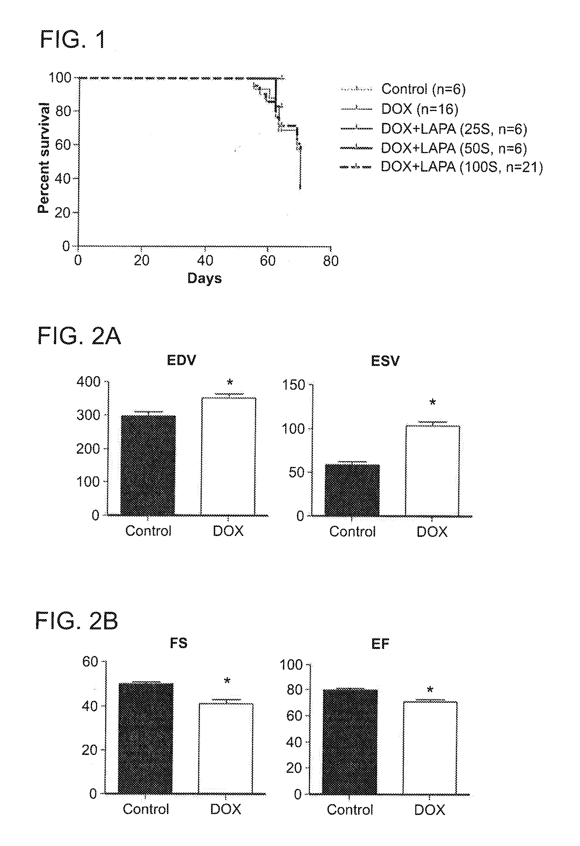 Compositions and methods for treating or preventing anthracycline induced cardiotoxicity